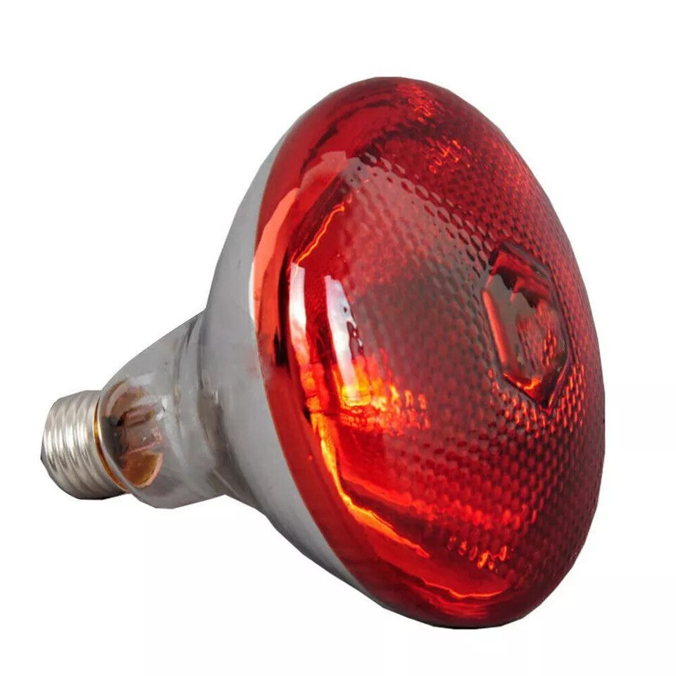 UK 250W Infra Red Ruby Heat Bulb Livestock Chick Brooder Heating Lamp 2 Pack