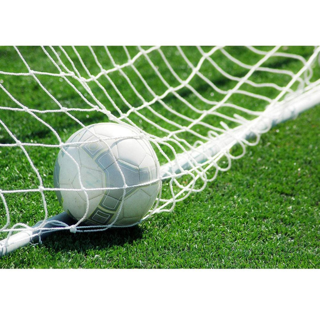 8 X 4ft Football Goal Netting Soccer Post Durable Net Equipment Accessory