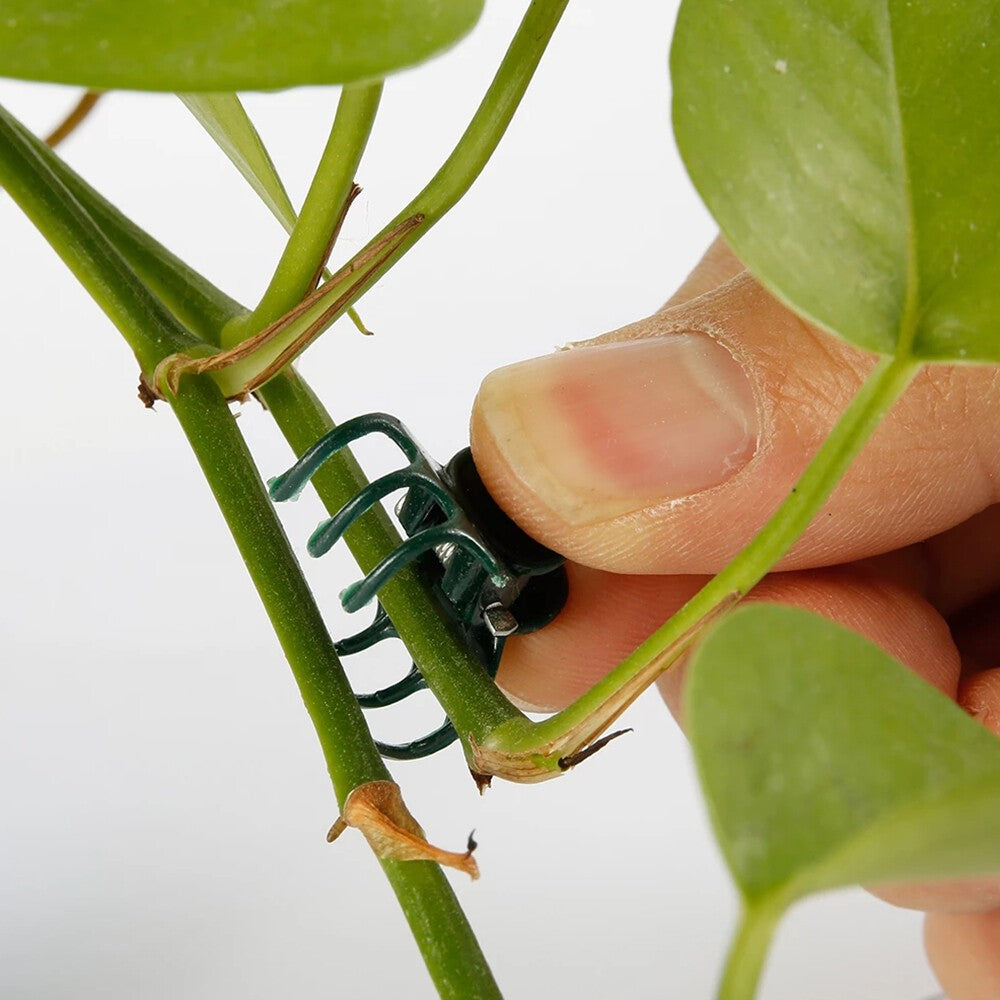 100Pcs Plant Fix Clips Orchid Stem Vine Support Flowers Tied Branch Clamping