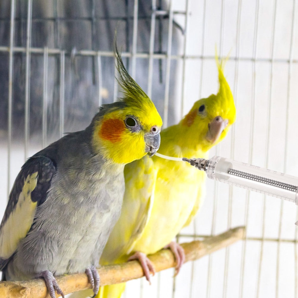 2 Sets Birds Feeding Tool Feeding Tubes for Birds Parrot Hand Feeding Tube