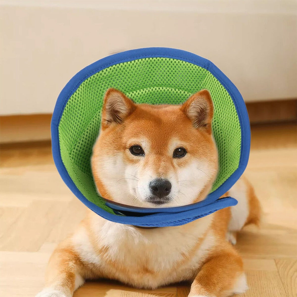 Dog Cat Soft Anti-lick Elizabethan Protective Collar Cone Wound Healing Recove