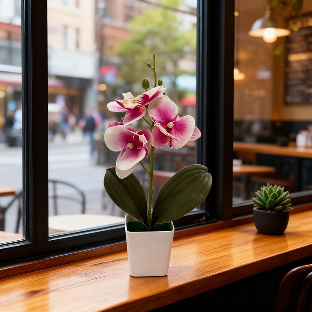 Artificial Phalaenopsis Orchid 5.5cm Wide 25cm Tall Plastic Potted Flower