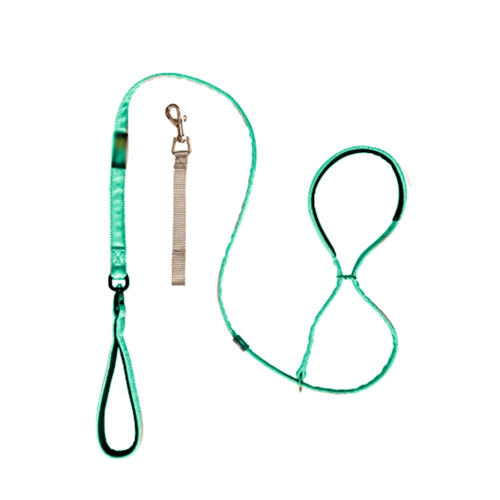 Pet Swivel Flat Figure of 8 Lead  Anti Pulling Dog Lead Leash - 200cm UK