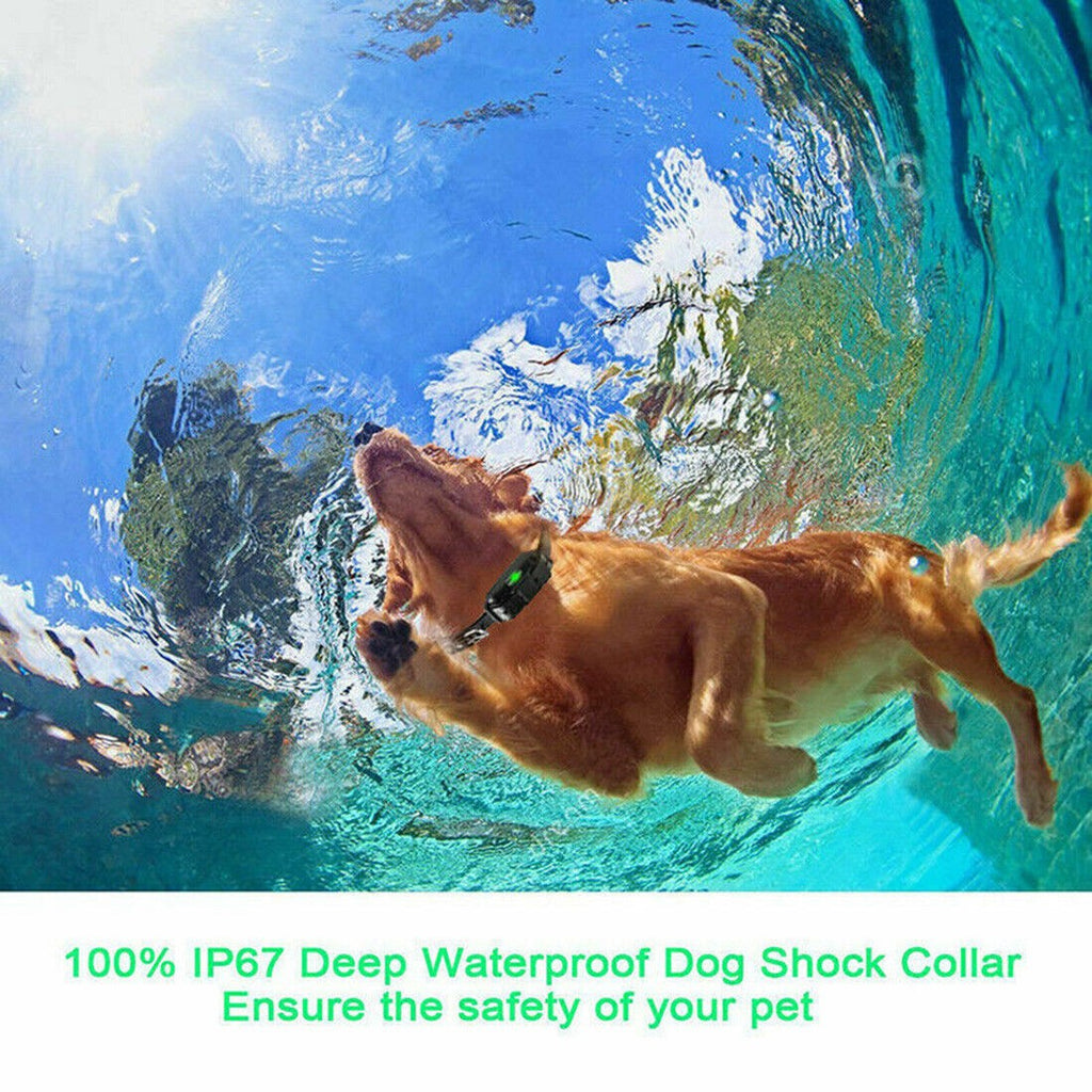 Electric Dog Training Collar Remote Control LCD 800M Anti Bark E Collar Pet