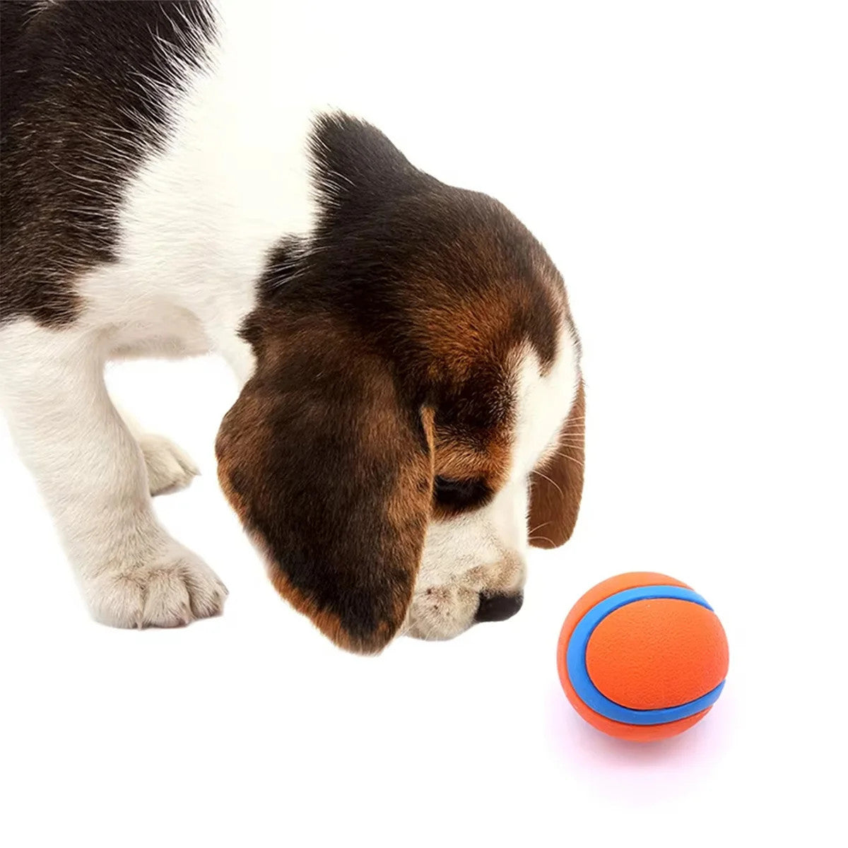 3 Pack Squeaky Dog Ball Toys Rubber Pet Chew Balls Interactive Puppy Cat Toy