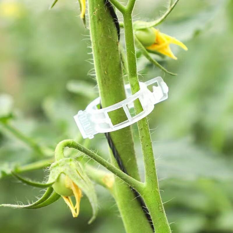 Garden Tools Plant Support Clips Ties Veggie Trellis Stake Greenhouse Tomato UK