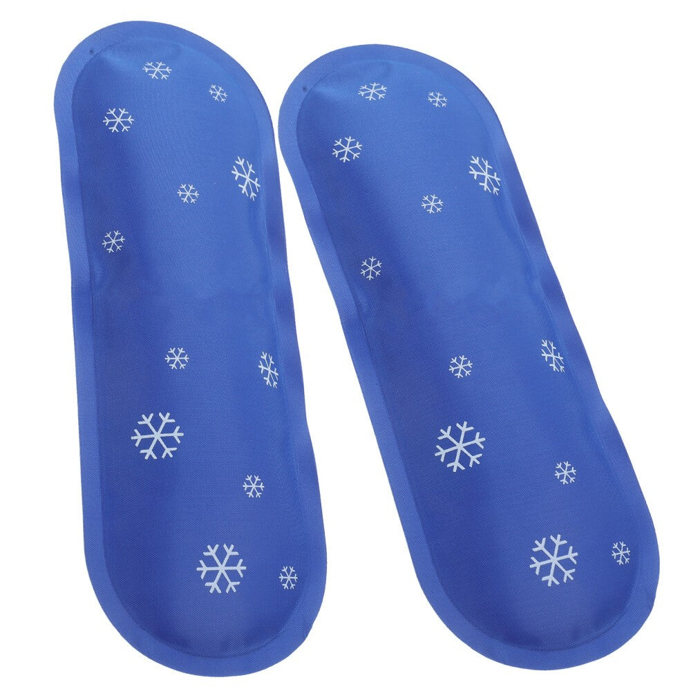 2 Pcs Refrigerated Ice Pack Lengke Cooler Bags Insulated Travel