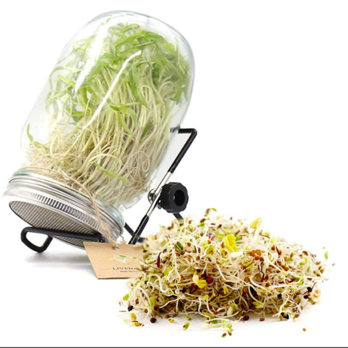 16OZ Seed Sprouter Kit Sprouting Mason Jar w/ Stainless Steel Strainer+Lid+Stand