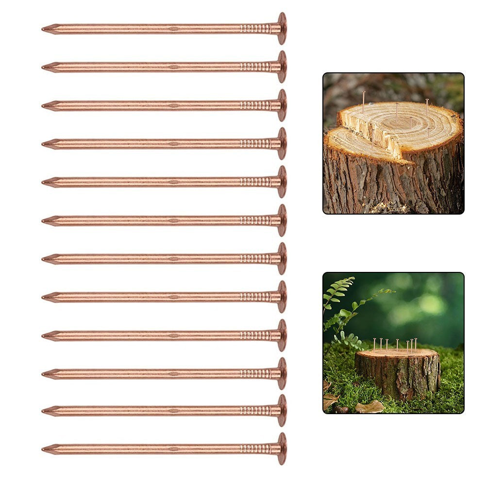 Copper Nails for Tree Stump Root For Killing 4 Inch Solid Copper Spikes