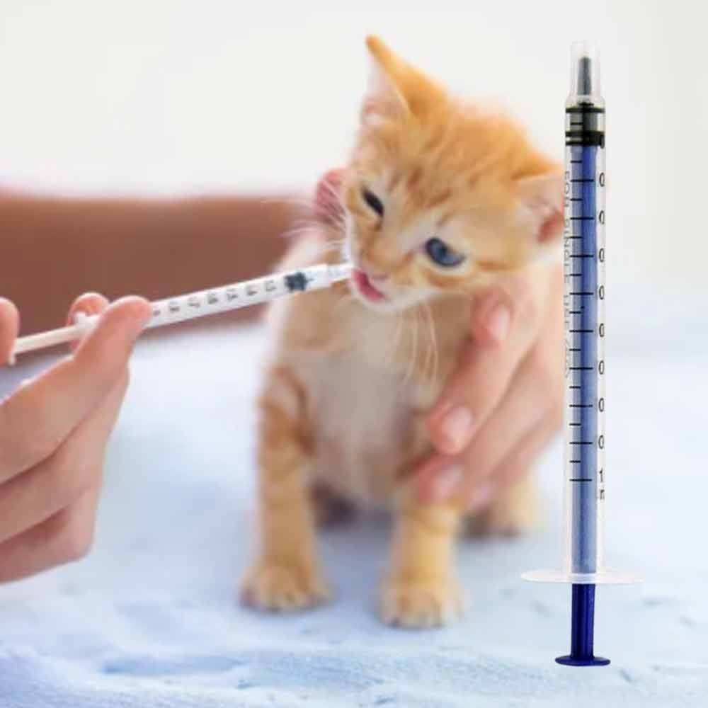 100X 1ml Syringe with Luer Slip Tip (No Needle), Pet Medicine Liquid
