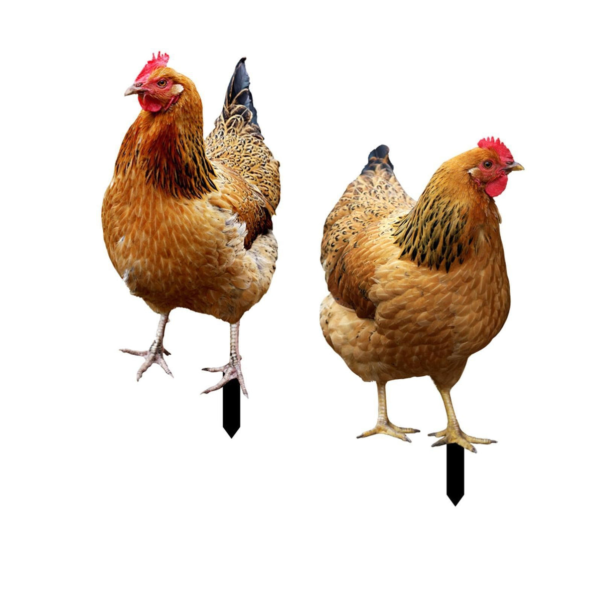 2x Hen Statue Garden Stakes Chicken Figurines Ground Insert Realistic Lifelike