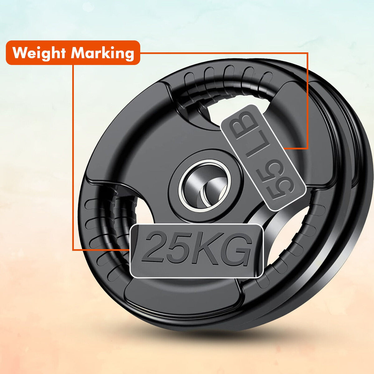 Weight Plates Set Pair Cast Iron 1" Hole Disc Dumbbell Standard Barbell Weights