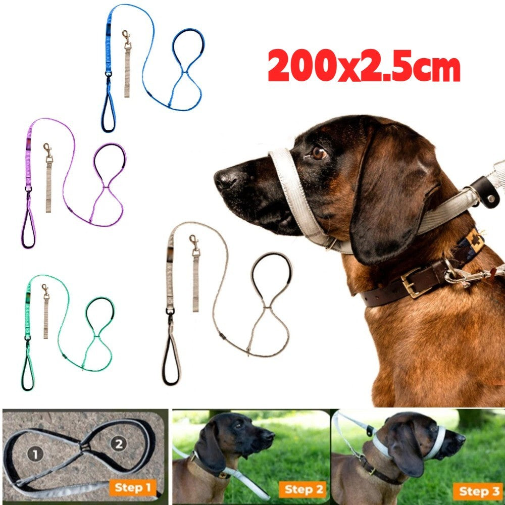 Pet Swivel Flat Figure of 8 Lead  Anti Pulling Dog Lead Leash - 200cm UK