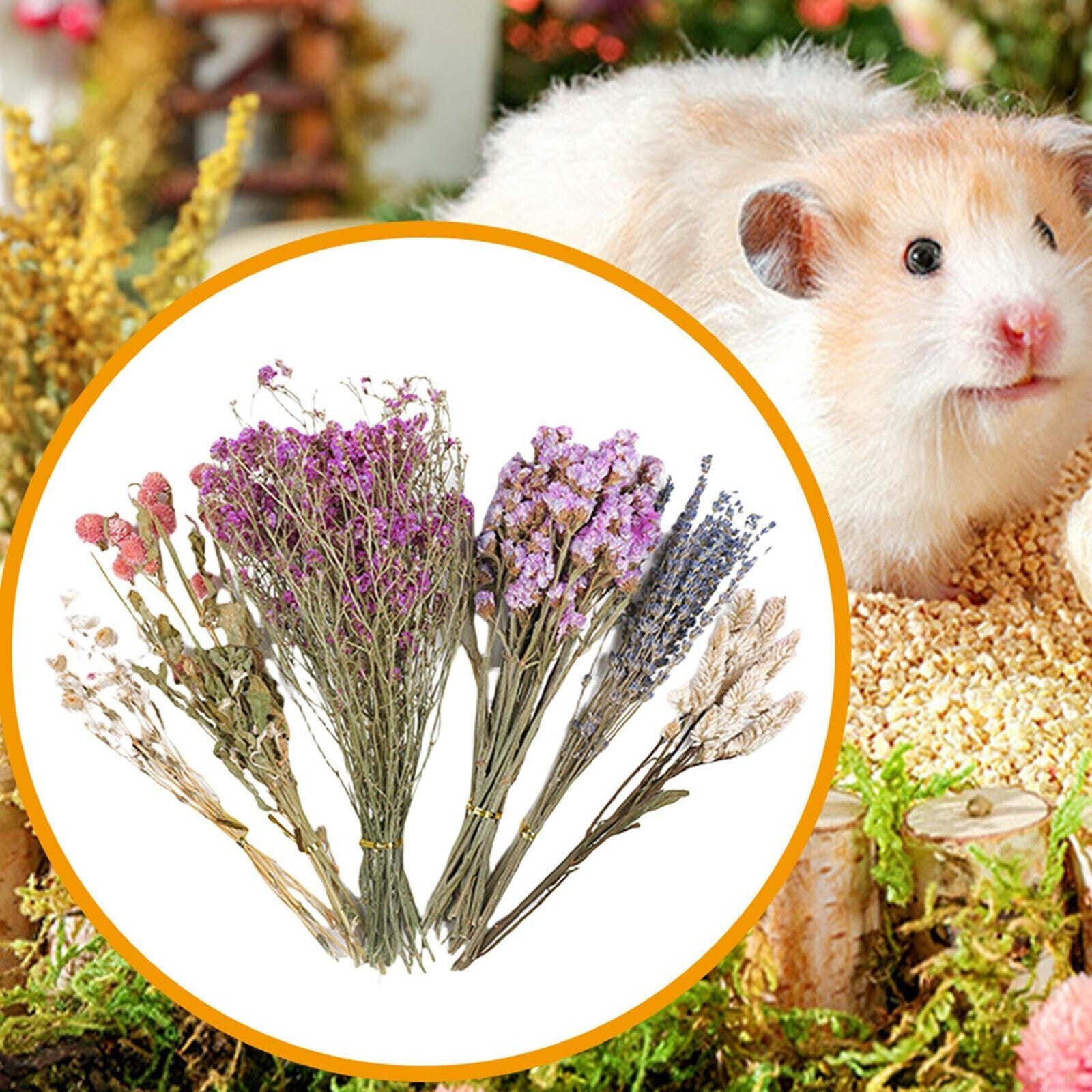 Natural Hamster Bedding Edible Flowers Herbs Sprays for Edible Grain UK