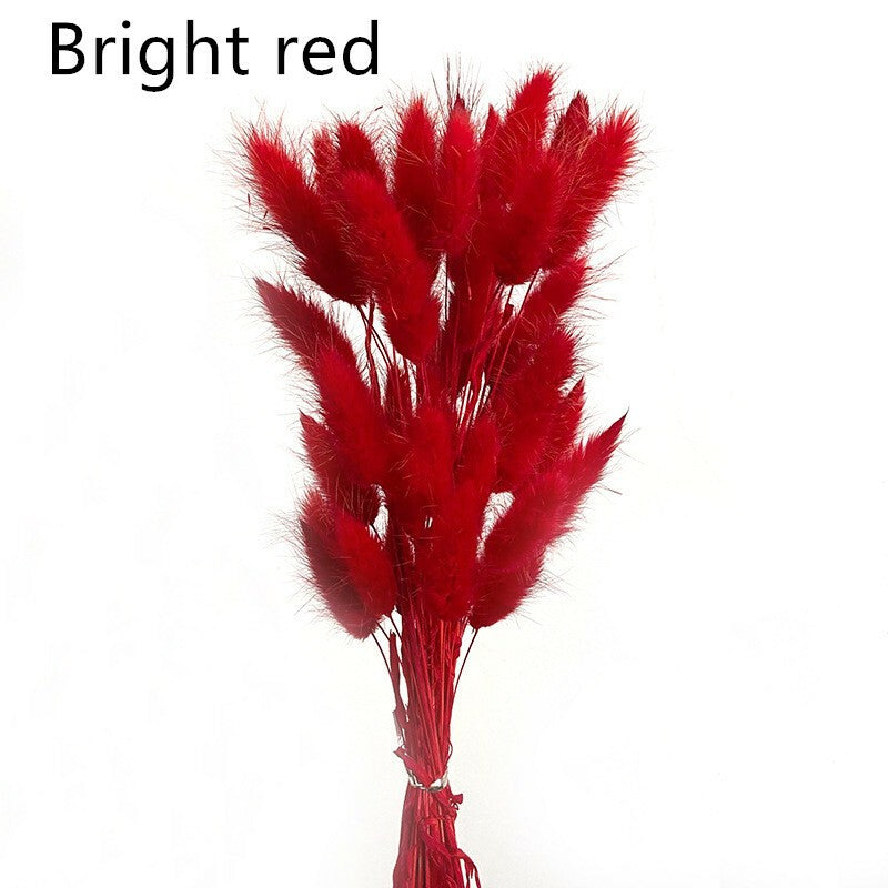 Dried Pampas Grass Decor ,Tall-Faux Bunny Tails Dried Flower Bouquet 50 Pcs