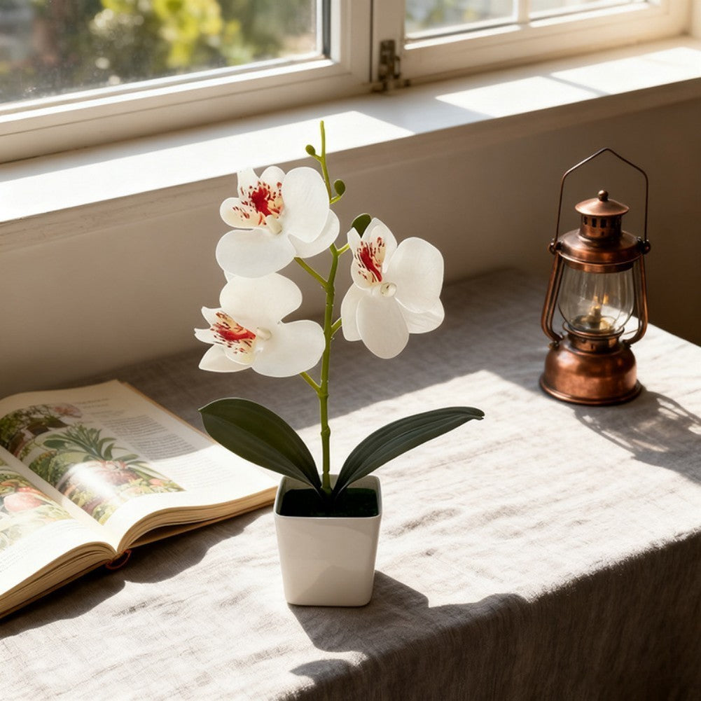 Artificial Phalaenopsis Orchid 5.5cm Wide 25cm Tall Plastic Potted Flower
