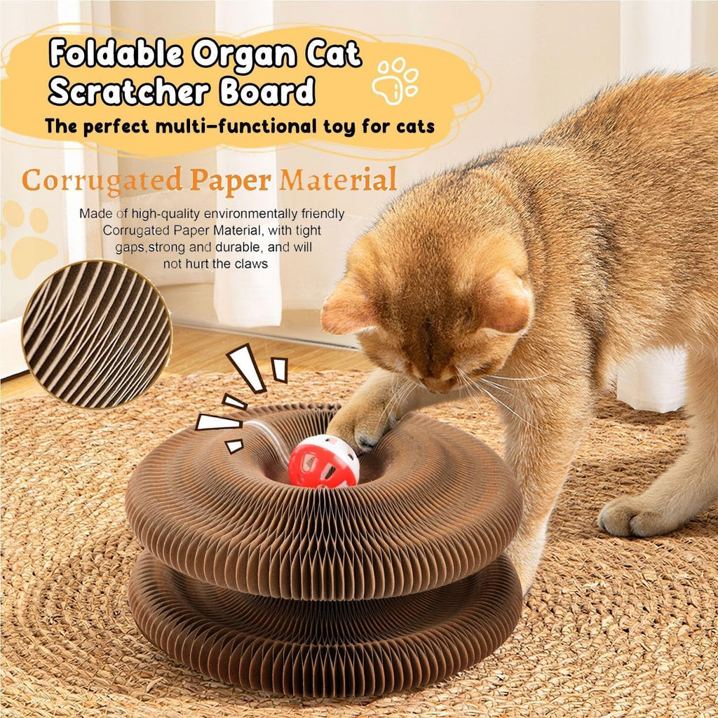 Kitty Kurlz Cat Toy Cat Accordion Magic Organ Cat Scratching Board Cat Toy Ball