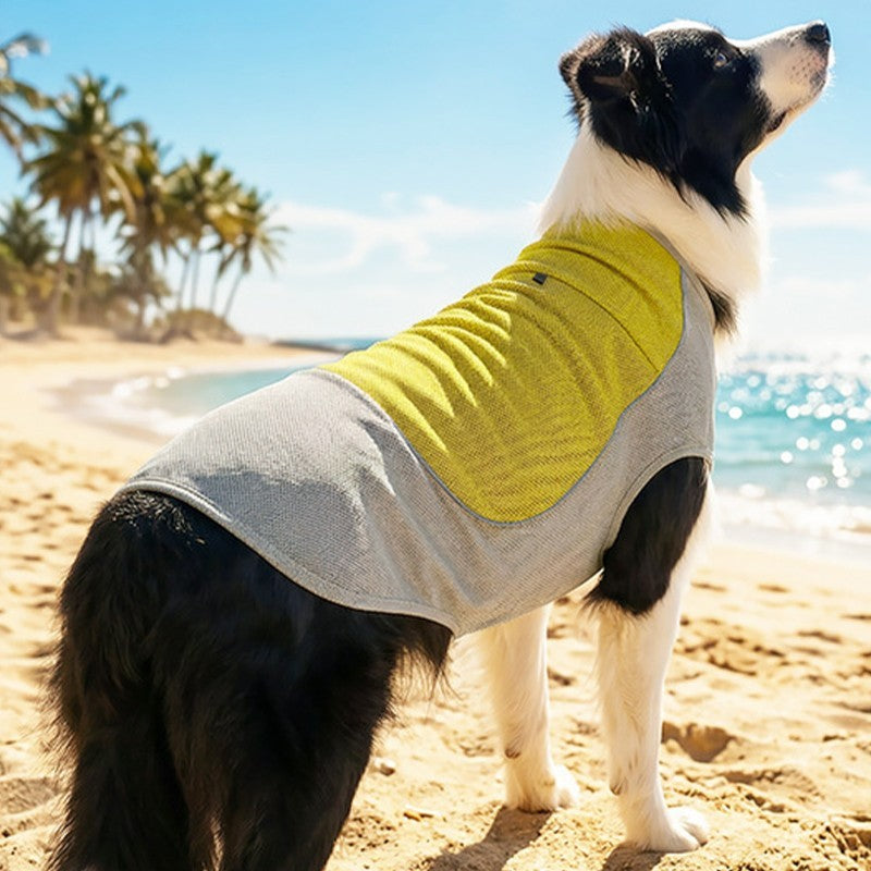 Dog Cooling Vest with Ice Pack Pocket Mesh Summer Pet Cooler Jacket for Pet Dogs