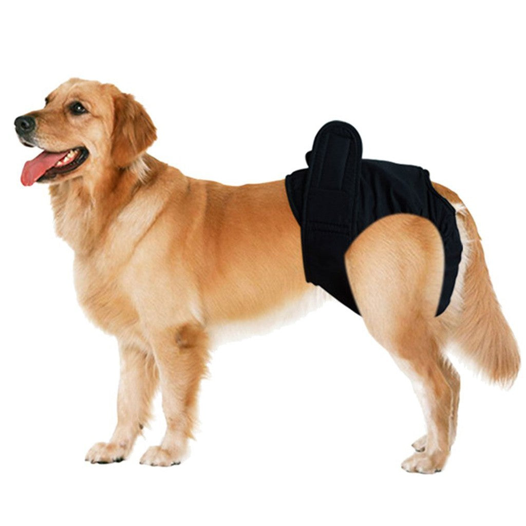 Heat pants for bitches / incontinence pants for males / adjustable dog