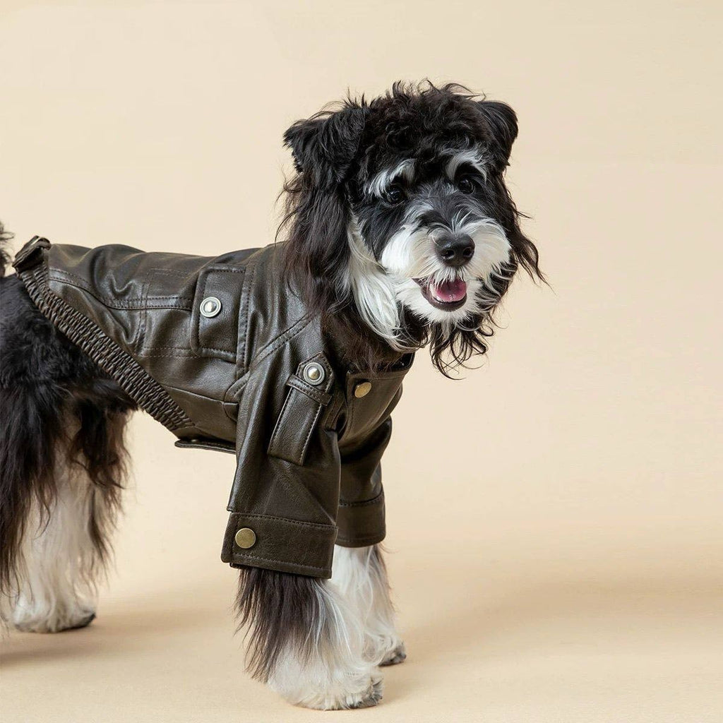 Dog Jackel Coats for Small Dogs Cats Winter Clothes