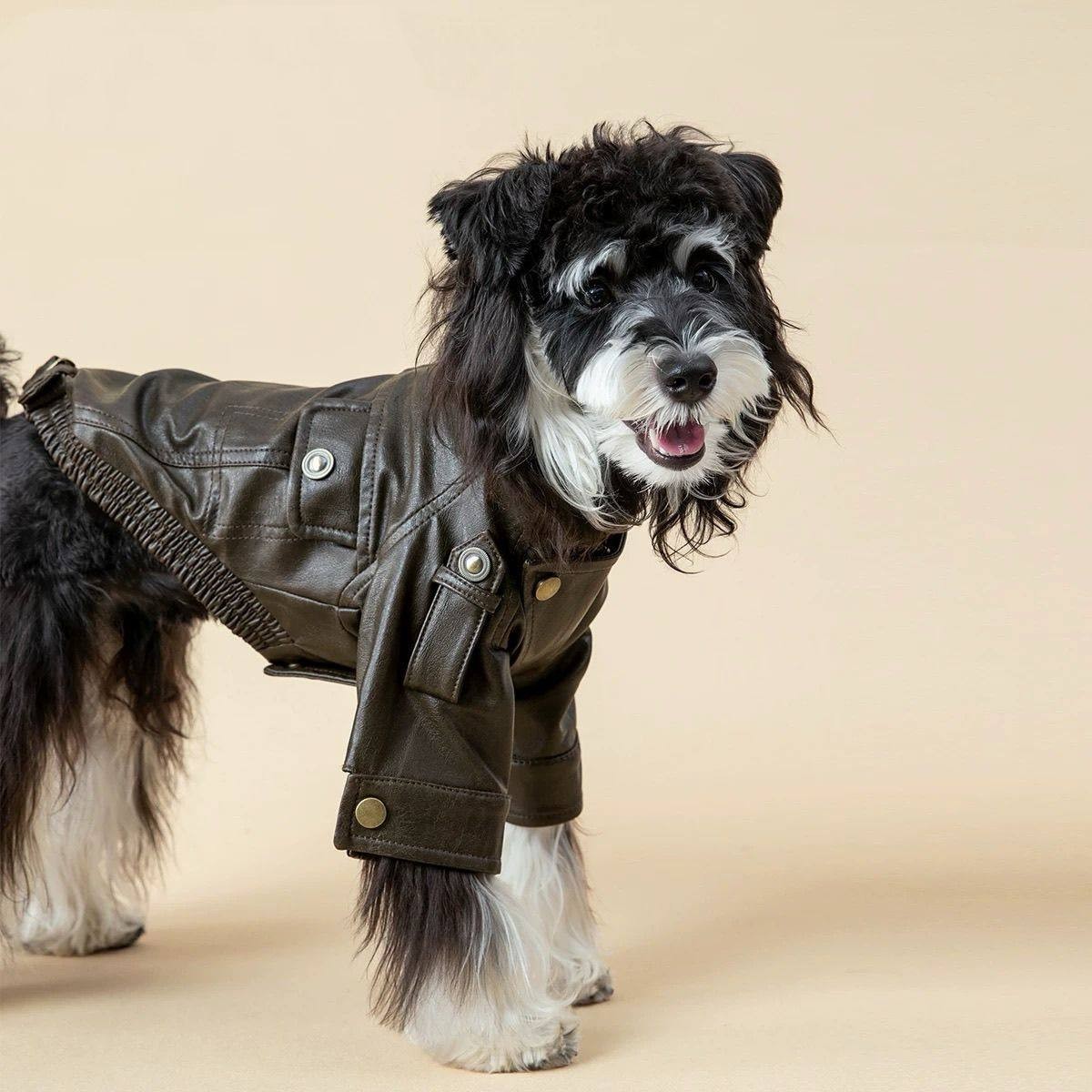Dog Jackel Coats for Small Dogs Cats Winter Clothes