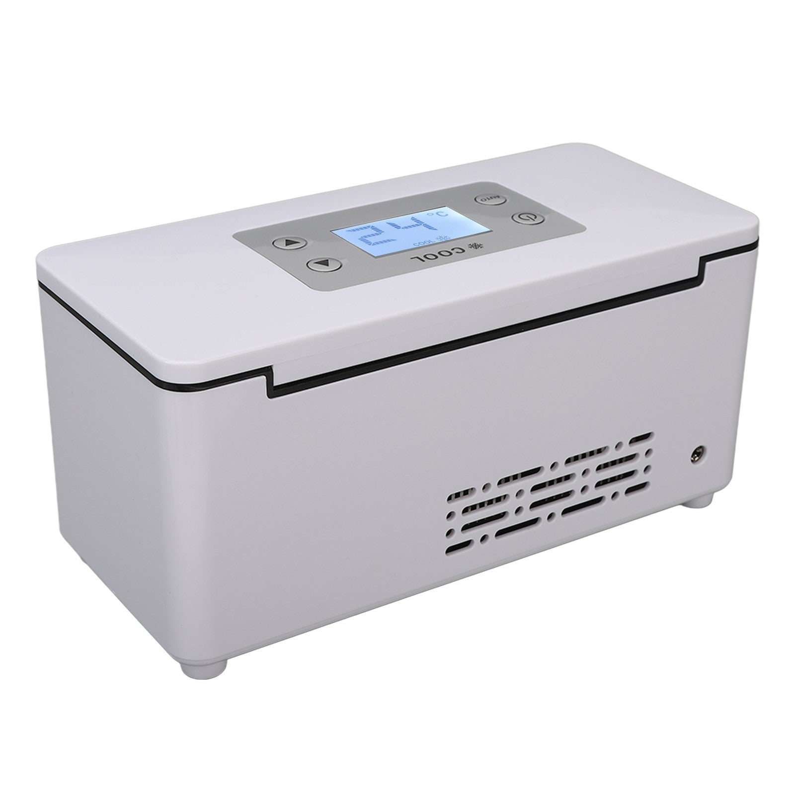 Portable Mini Car Fridge Medical Cooler Box Diabetic Insulin Storage Cold UK
