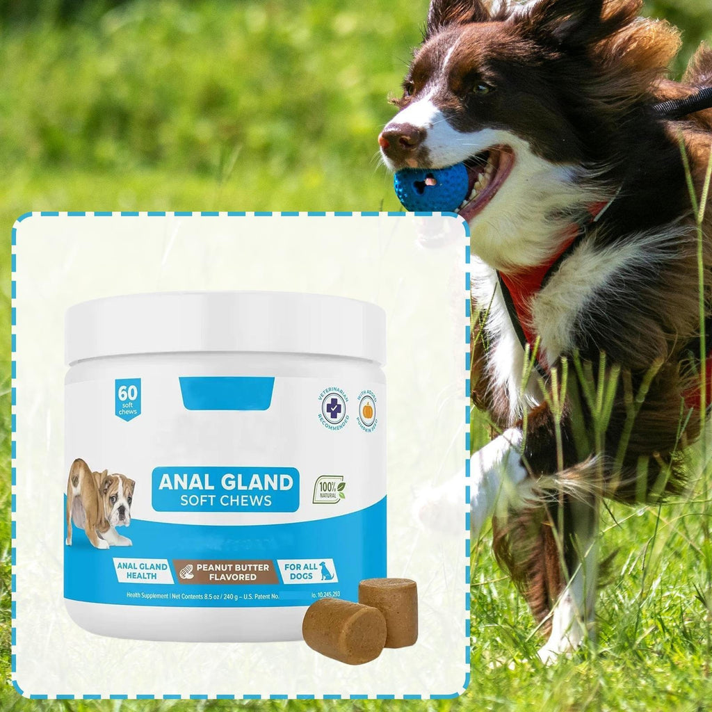 GLANDEX ANAL GLAND Support Chews For All Dogs 90 Soft Chews Peanut Butter Flavor