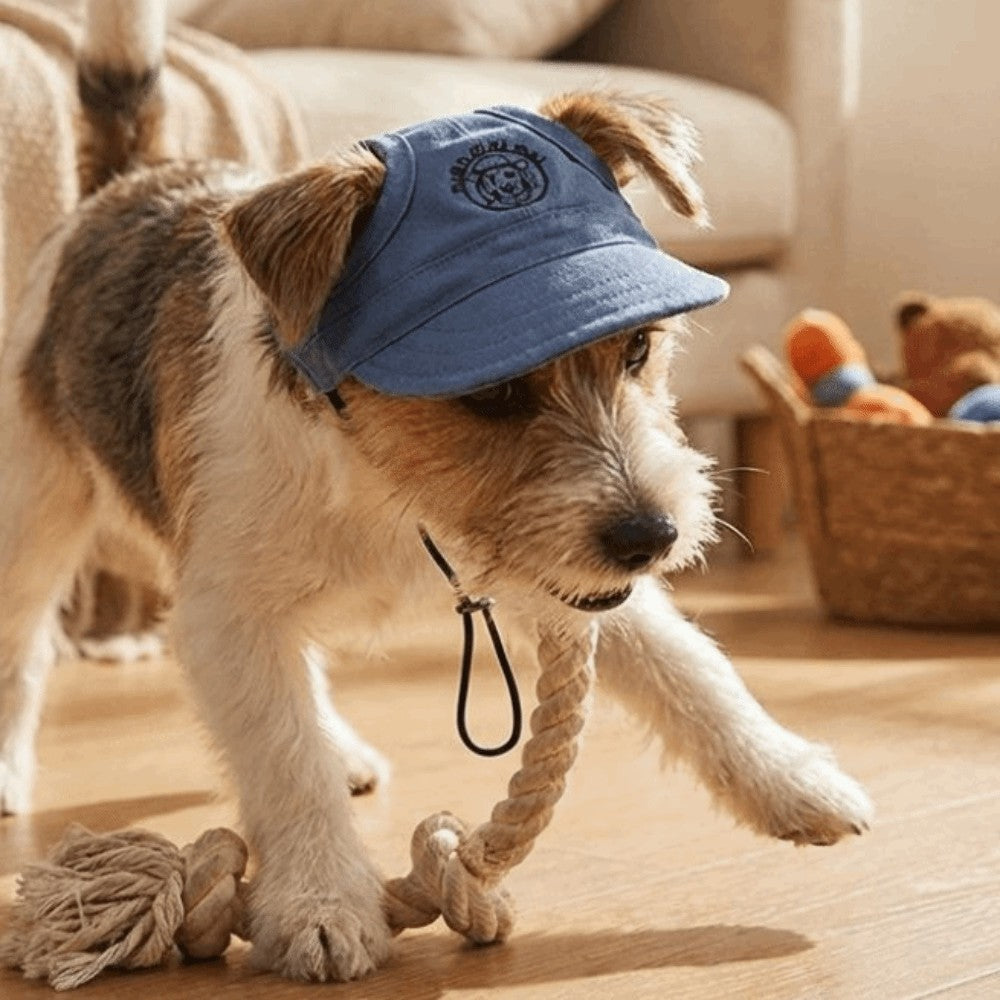 Cotton Cat Sunscreen Hat With Ear Holes Pet Sun Cap Dog Baseball Hat  Travel