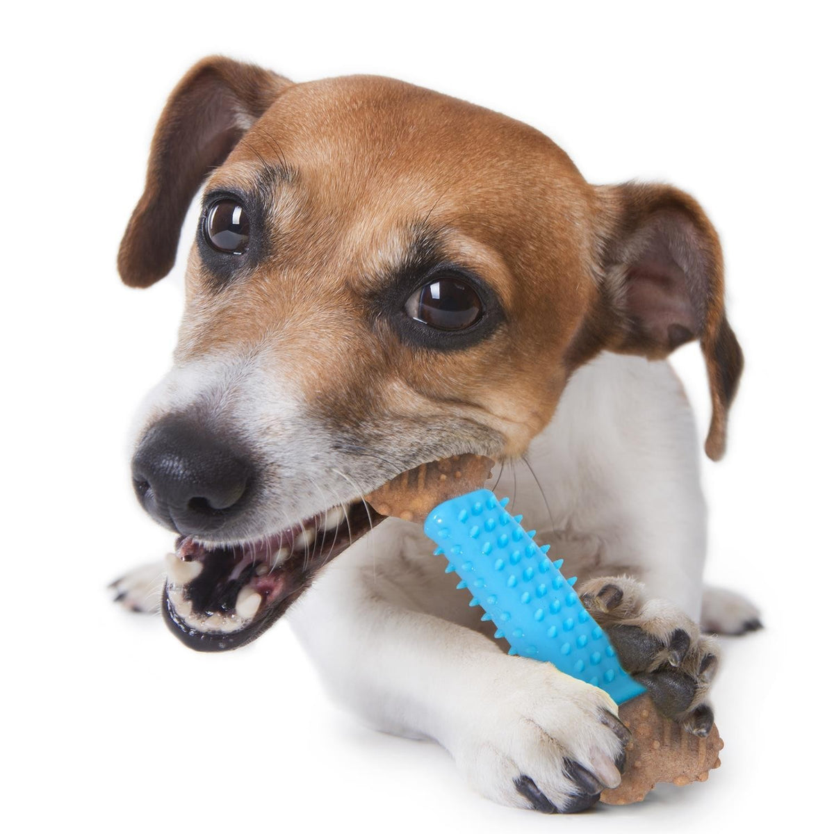 Set of 2 Bamboo Pet Dog Puppy Chew Toy Strong Durable Dental Health Natural
