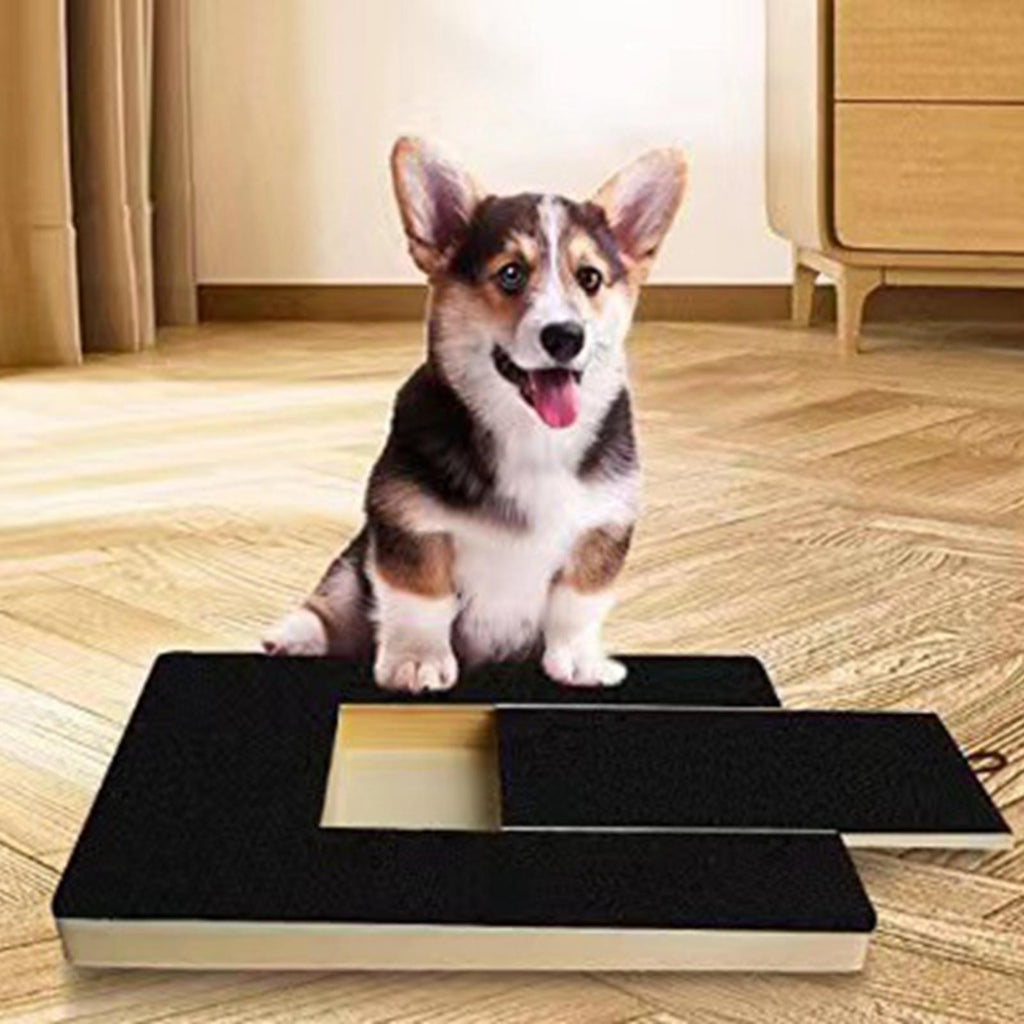 Dog Nail Scratch Board with Treat Box Pet Nail File Training Pad For All Dogs