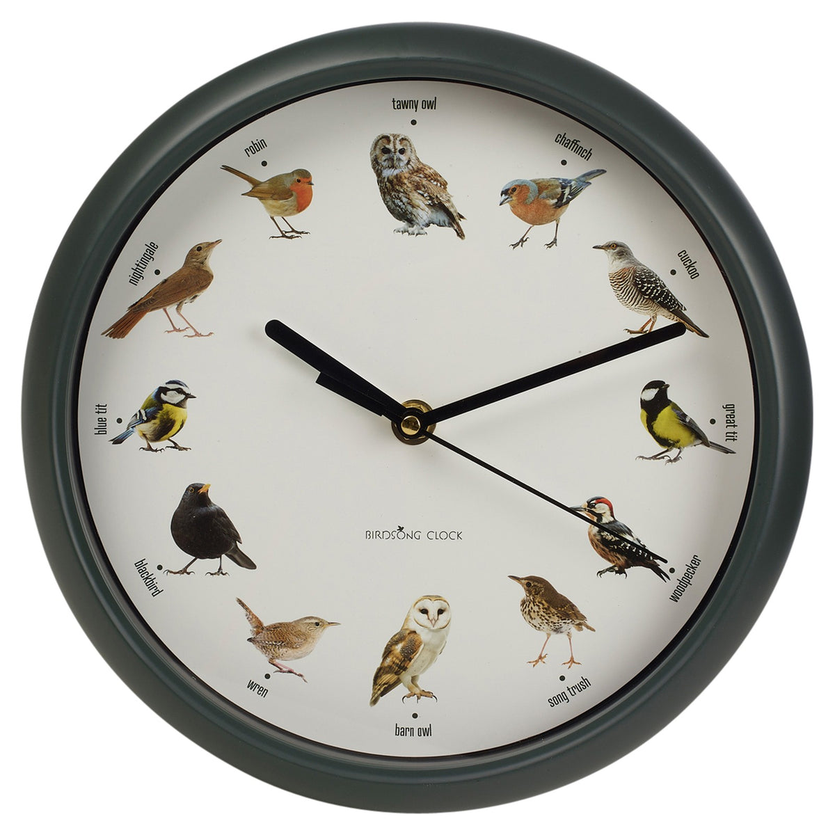 Bird Clock With Sounds Singing Birds Hanging Wall Clock With Hourly Sounds