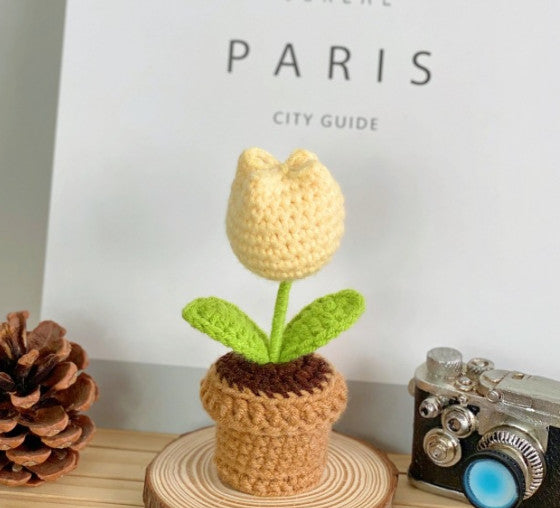 Mini Handwoven Flower Basket ,Handmade Knitted Bouquet ,Crochet Bouquet for