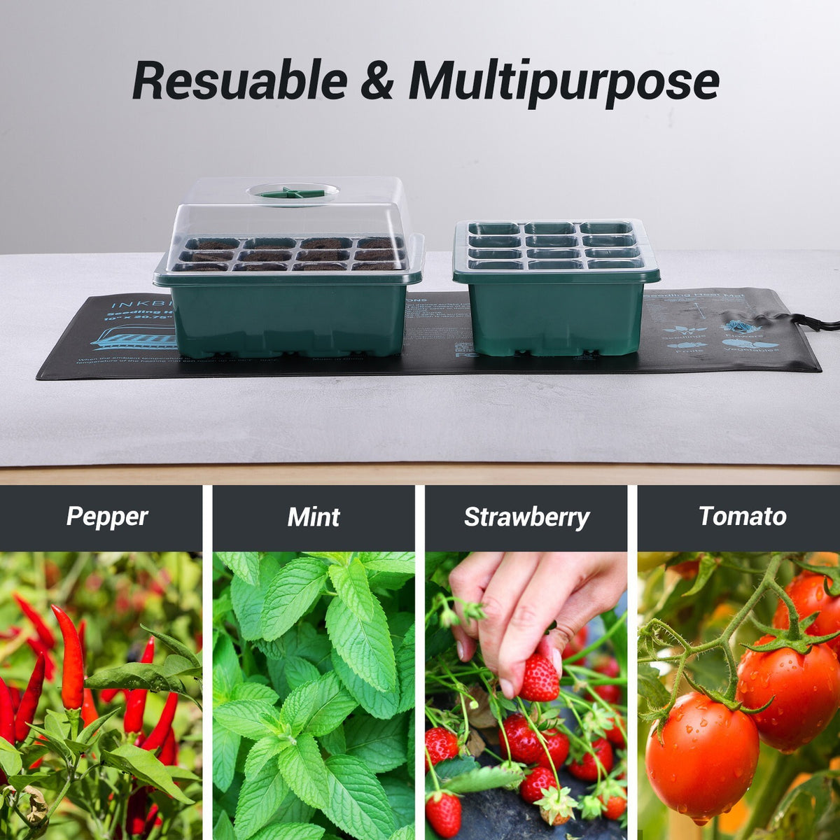 6pcs 12 Cells Seedling Tray Propagator Growing Thicken Seedling Heightened Lids