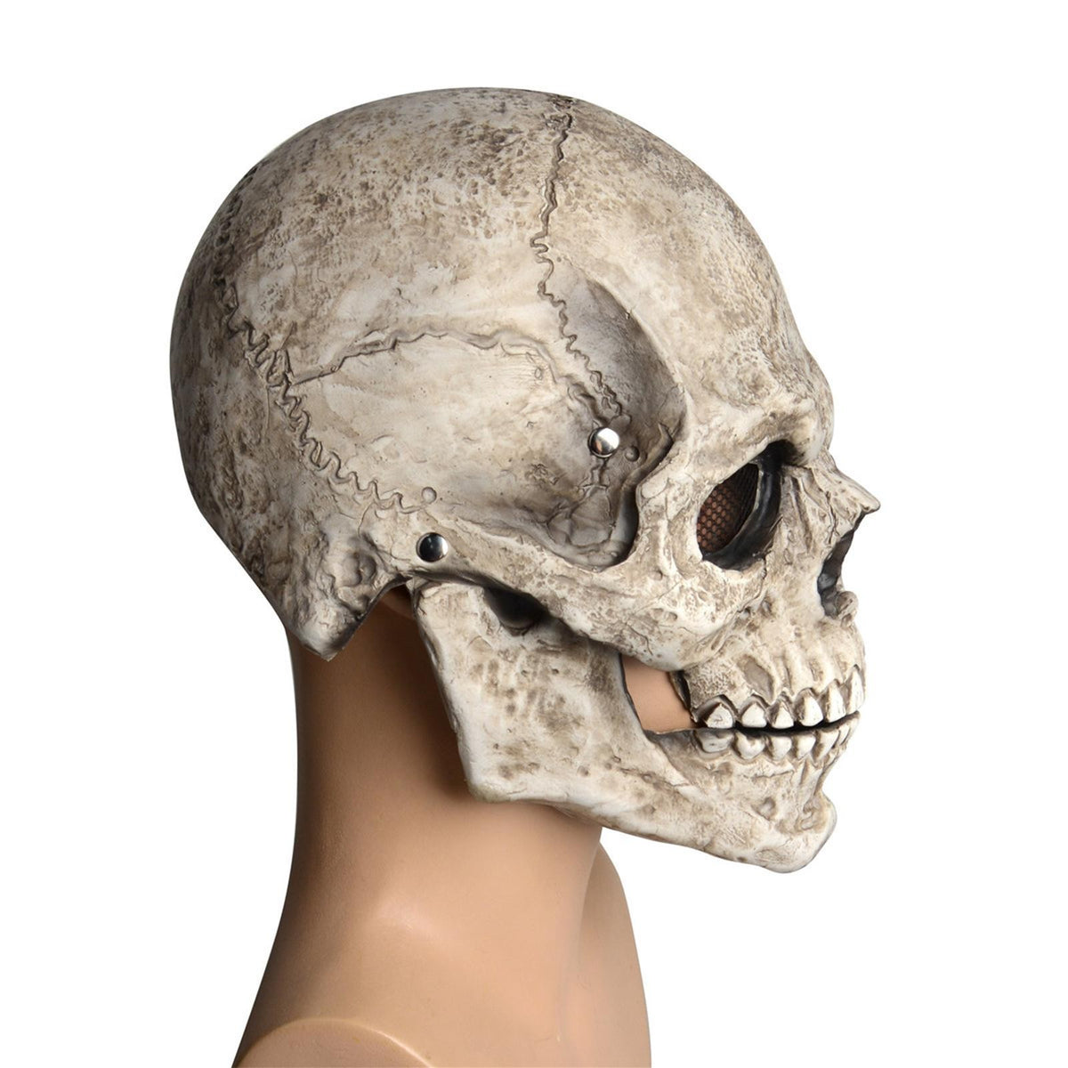 Skull Mask Full Face with Movable Mouth Realistic Head Mask for Adult Cosplay
