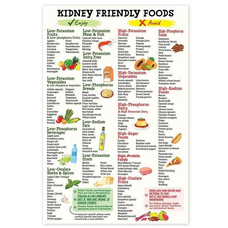 Kidney Friendly Food List Poster,Unframed Kidney Awareness Kidney Diet List