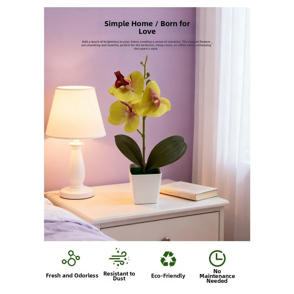 Artificial Phalaenopsis Orchid 5.5cm Wide 25cm Tall Plastic Potted Flower