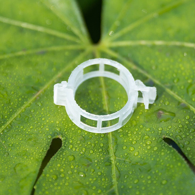 Garden Tools Plant Support Clips Ties Veggie Trellis Stake Greenhouse Tomato UK