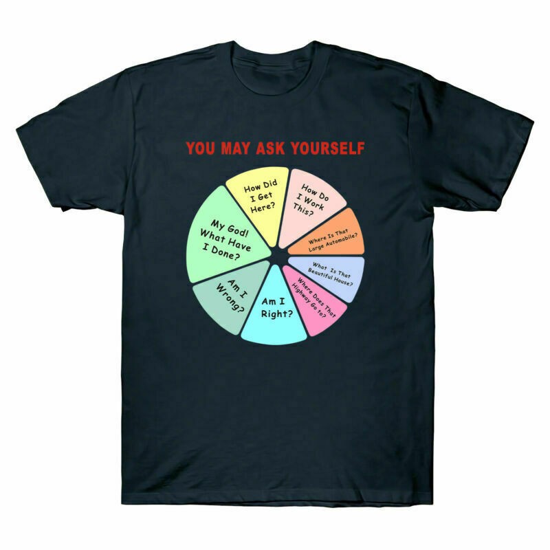 You May Ask Yourself T-Shirt   Once In A Lifetime Pie Chart T-Shirt