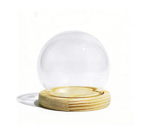 Clear Cloche Glass Dome Glass Bell Jar Display with Wooden Base