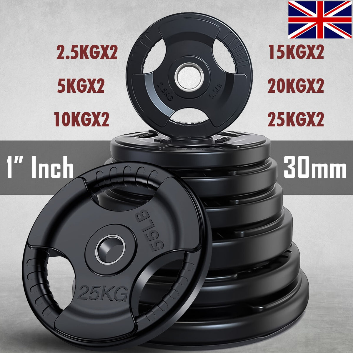 Weight Plates Set Pair Cast Iron 1" Hole Disc Dumbbell Standard Barbell Weights
