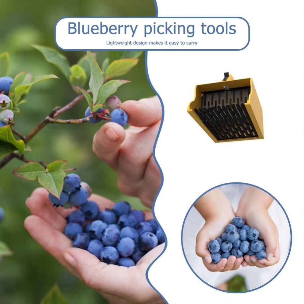 Berry Picking Blueberry Picker Compact Berry Comb  Currants