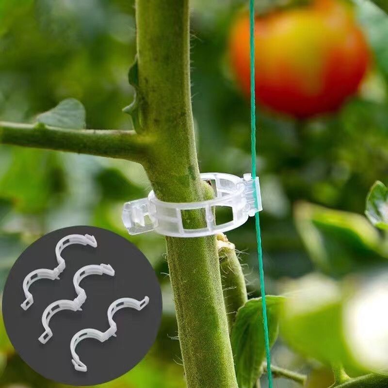 Garden Tools Plant Support Clips Ties Veggie Trellis Stake Greenhouse Tomato UK
