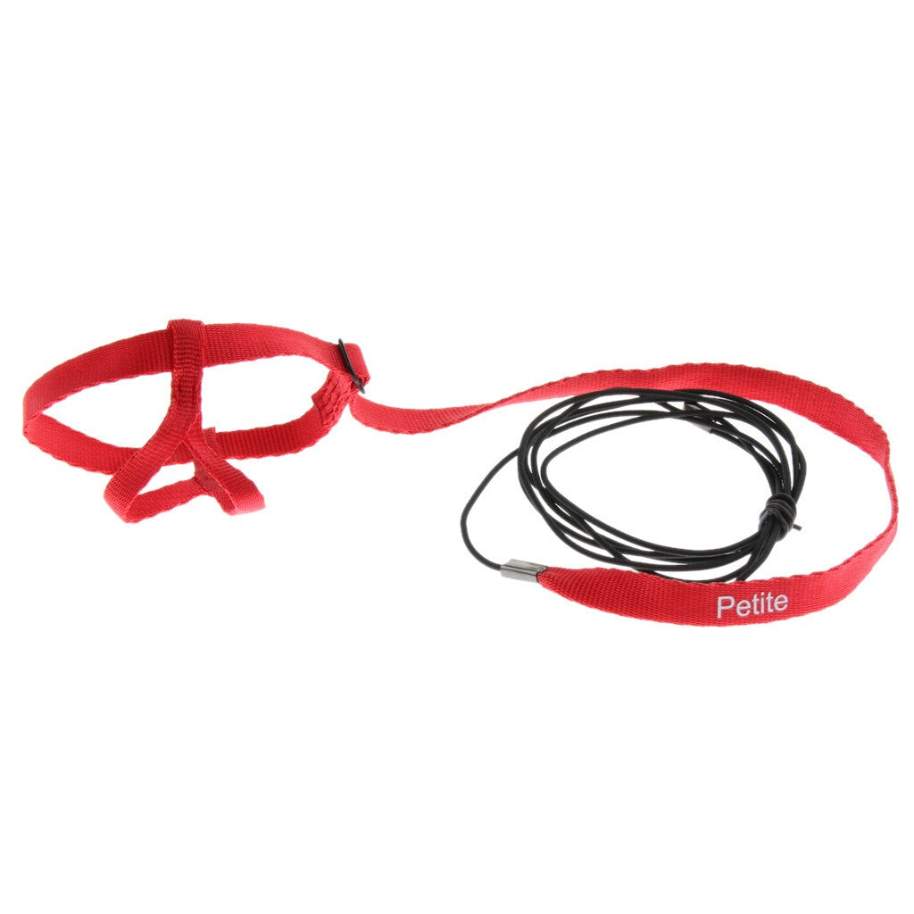 Adjustable Harness Leash for Parrot African Grey Cockatoo Macaw Ringneck