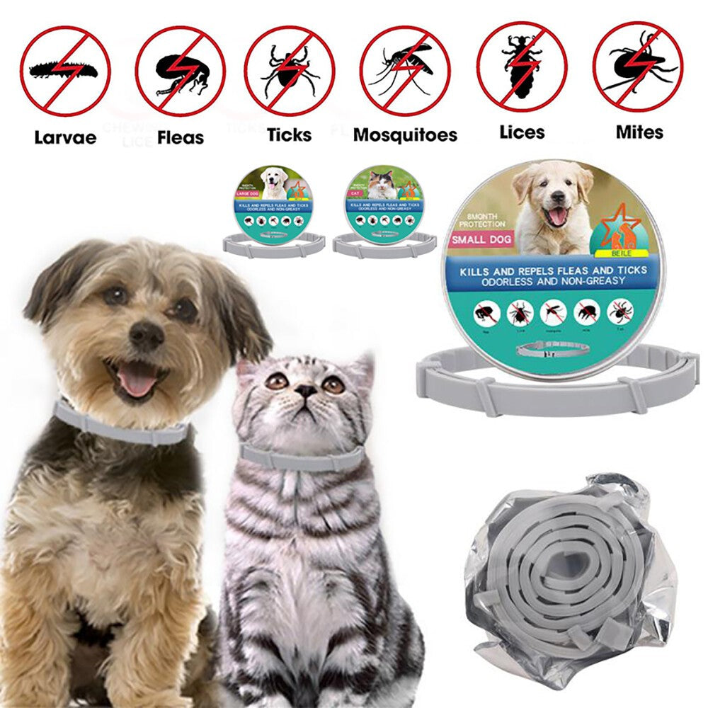 8 Month Protection Pet Flea and Tick Collar Antiparasitic Cat Collar