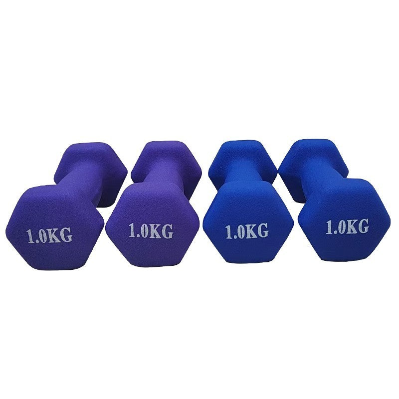 Pair 1kg 2kg 3kg Dumbbell Fitness Hand Weights Set for Women Home Gym Workout UK