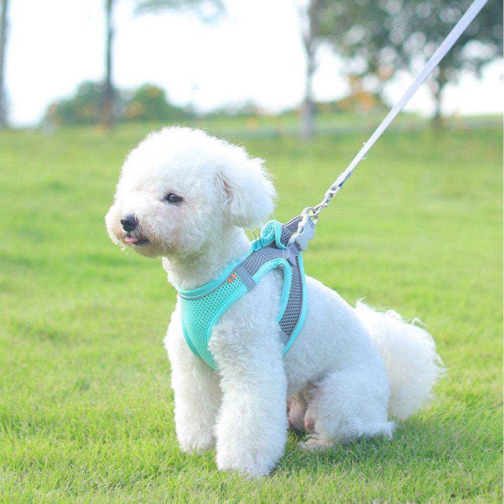Dog Harness Leash Set Adjustable Puppy Cat Harness Vest Outdoor For Small Dogs
