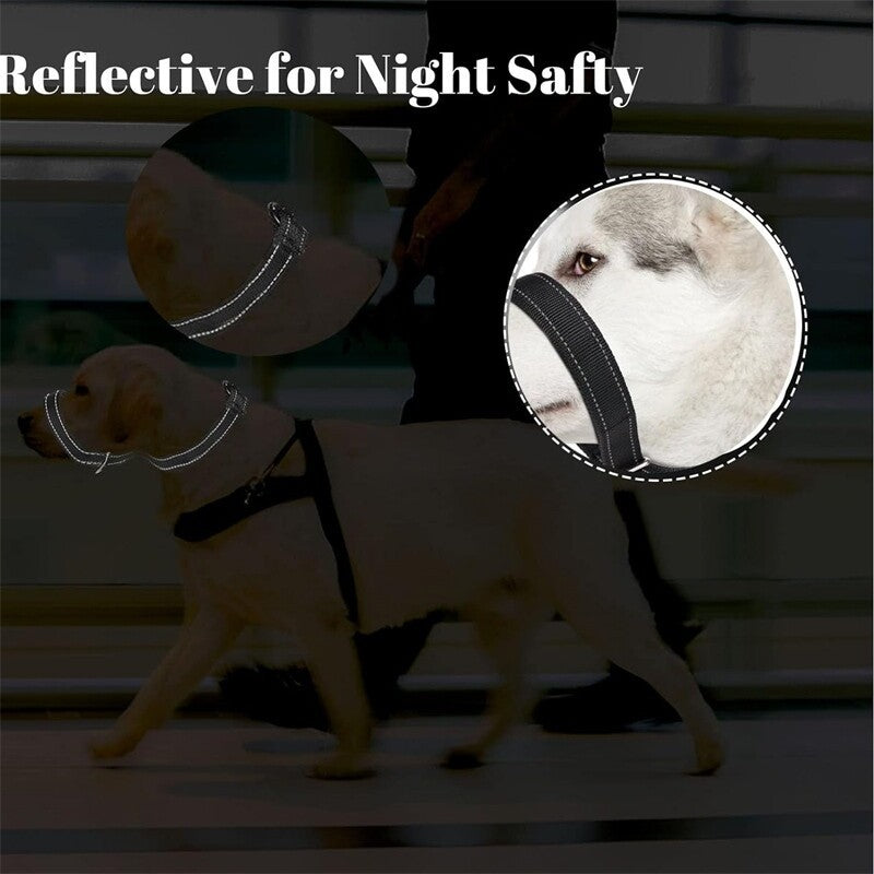 Total Pet Swivel Flat Figure of 8 Lead Halti Anti Pulling Dog Lead Leash - 180cm