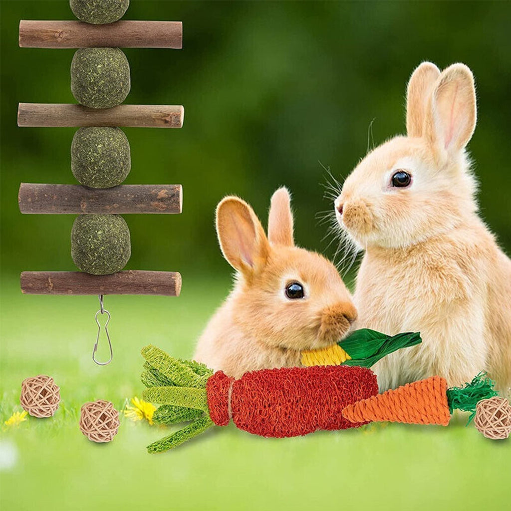 16Pcs Chew Toys Set for Small Animal Rabbit Teeth Care and Exercise Natural Wood
