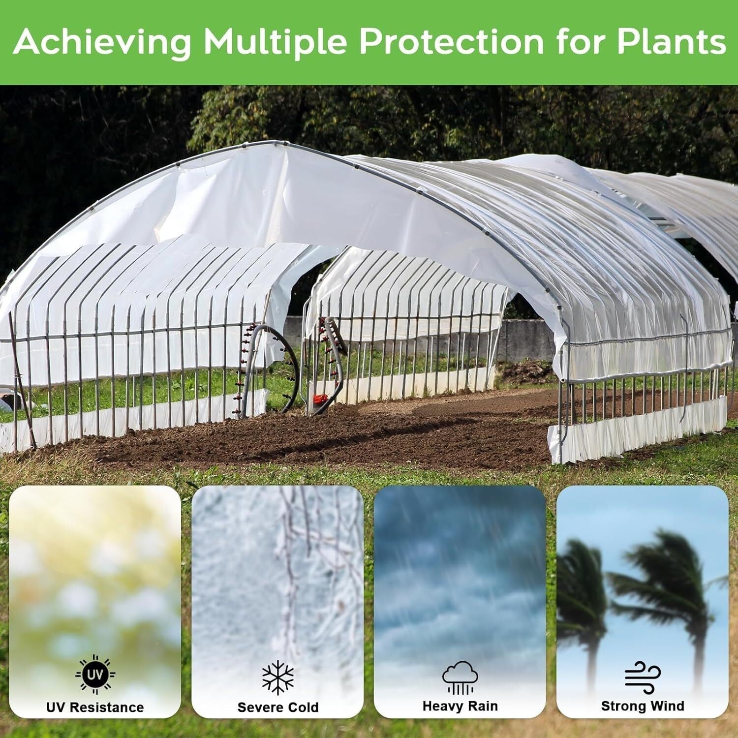 Heavy Duty Thick Clear Film Poly Tunnel Plastic Sheet Garden Greenhouse Cover UK