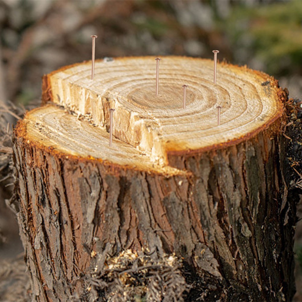 Copper Nails for Tree Stump Root For Killing 4 Inch Solid Copper Spikes